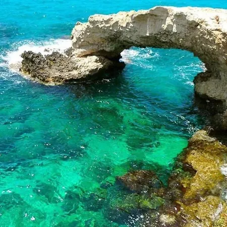 Rent Your Dream Holiday And Look Forward To Relaxing Beside Your Private Pool, 1313 וילה